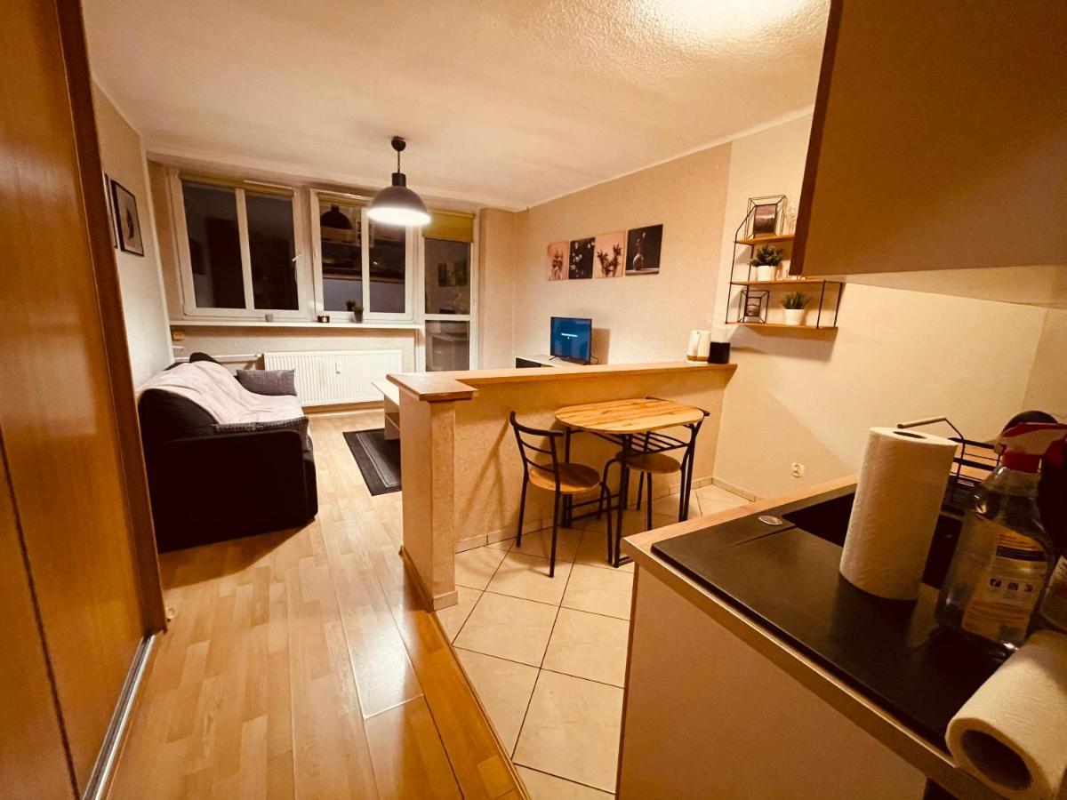 Apartamenty Ktw Park Slaski Luksusowy Prl Katowice Buitenkant foto